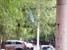 Published on 7/18/2016 ֹ,½رչ崫 
