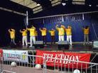 Published on 12/15/2002 ѧԱӦTELETHONʾͼ
