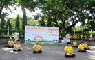 Published on 7/14/2008 泰国法轮功学员在市政活动中展示功法（图）