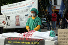 Published on 10/18/2006 盛开在德国边界城市亚琛的莲花（图）