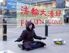 呼唤世人的良知善念　共同制止迫害（图）