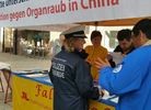 Published on 10/18/2016 法轮功,德国古城举办真相征签日 【明慧网】