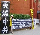 Published on 11/1/2009 法轮功,法轮大法明慧网 - 中共副总理访澳　法轮功学员吁制止迫害（图）