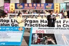 Published on 11/6/2014 ֹ,¸绪ᡡΪֹȺ 

