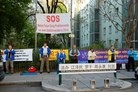 法轮功,奥地利学员纪念四•二五　吁惩办迫害元凶（图） - 法轮大法明慧网
