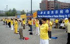 Published on 9/25/2009 法轮大法明慧网 - 二十国峰会　法轮功吁制止迫害　媒体关注（图）