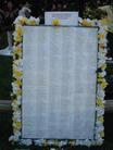 Published on 2/15/2004 ޷ֹѧԱʹǰҪ󷨰콭ޡܣͼ
