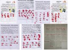 Published on 1/20/2016 ֹ,ӱʡȷ6096ǩٱ 
