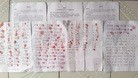 Published on 7/8/2016 ֹ,ӱɽĴھٱ׶ 
