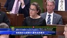 Published on 12/20/2017 法轮功,孙茜被非法关押十月　家属进行第三轮控告 【明慧网】