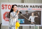Published on 7/24/2016 法轮功,多伦多千人集会 政要齐念法轮大法好 【明慧网】
