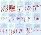 Published on 8/19/2012 法轮功,燕赵正气歌：又387人签名营救郑祥星 - 法轮大法明慧网

