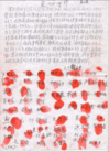 Published on 4/18/2013 法轮功,“我们支持伸张正义”

