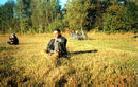 Published on 10/14/2001 ;ĳչʾͼƬ,