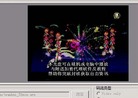 Published on 8/4/2006 FlashתΪVCDӰķ輰