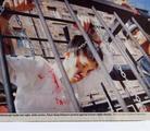 Published on 8/17/2004 ӢýֹѧԱͼ