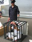 Published on 7/19/2004 法国大法弟子在唐人街上揭露江集团酷刑迫害（图）
