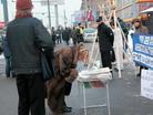 Published on 12/13/2004 		˹ѧԱȨռᡡҪ󷨰콭ܣͼ
