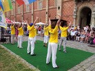 法轮功,在奥地利国际民族艺术节期间传真相 【明慧网】
