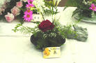 Published on 5/23/2002 ʥ·ѧԱлաа廨鷨 (ͼ) 
