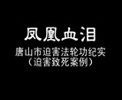 Published on 7/27/2007 录像片：凤凰血泪