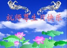 Published on 5/13/2008 闪画：大法弟子恭祝师尊生日快乐