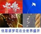 Published on 6/5/2011 法轮功,彩信：给有缘人的一封信（更新版） - 法轮大法明慧网
