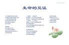 Published on 4/4/2003 ɫͼƬ᣺֤°棩