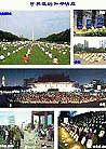 Published on 1/6/2002 鷨չ壺ֹĺƽԸ