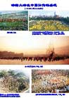 Published on 1/4/2002 鷨չ壺ִ󷨺鴫