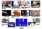 Published on 1/5/2002 鷨չ壺ŶԷֹĲпȺ
