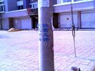 Published on 4/15/2008 ͼƬ˵