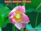Published on 2/13/2010 ֹ,½󷨵ӹףʦ֣һ108أ - ִ - minghui.org