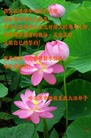 Published on 2/13/2010 ֹ,ӡ취Ŵ󷨵ӹףʦ - ִ - minghui.org