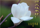 Published on 2/15/2010 ֹ,ؿ󷨵ӹףʦã - ִ - minghui.org