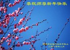 Published on 2/13/2010 ֹ,½󷨵ӹףʦ֣һ108أ - ִ - minghui.org