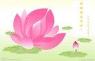 ֹ,½󷨵ӹףʦ(33)
