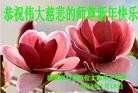 Published on 1/30/2014 ֹ,½󷨵ӹףʦ(29)
