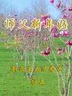 Published on 2/8/2005 		󷨵ȱΰʦ꣨һ
