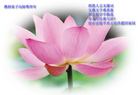 Published on 1/30/2006 󷨵ӹףʦũã