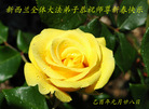 Published on 1/30/2006 󷨵ӹףʦũã