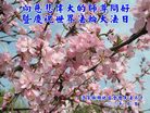 Published on 5/12/2006 ½ӹʦ𻪵ߵ߽編ִգ