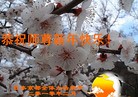 Published on 2/14/2010 ֹ,̫󷨵ӹףȱʦ - ִ - minghui.org