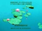 Published on 2/15/2013 ֹ,ӡձ󷨵ӹףʦ
