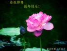 ֹ,ൺ󷨵ӹףʦã23
