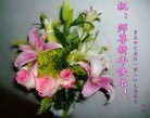 法轮功,重庆大法弟子恭祝师尊新年好（21条）
