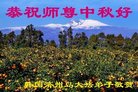 ֹ,ش󷨵ӹףʦ(11)