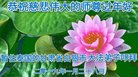 ֹ,̩Խϴ󷨵ӹףʦ(18)
