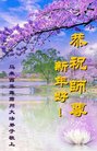 ֹ,Ǵ󷨵ӹףʦ(16) 