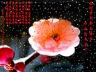 Published on 1/19/2004 й½33ش󷨵ӹףʦũãͼ
